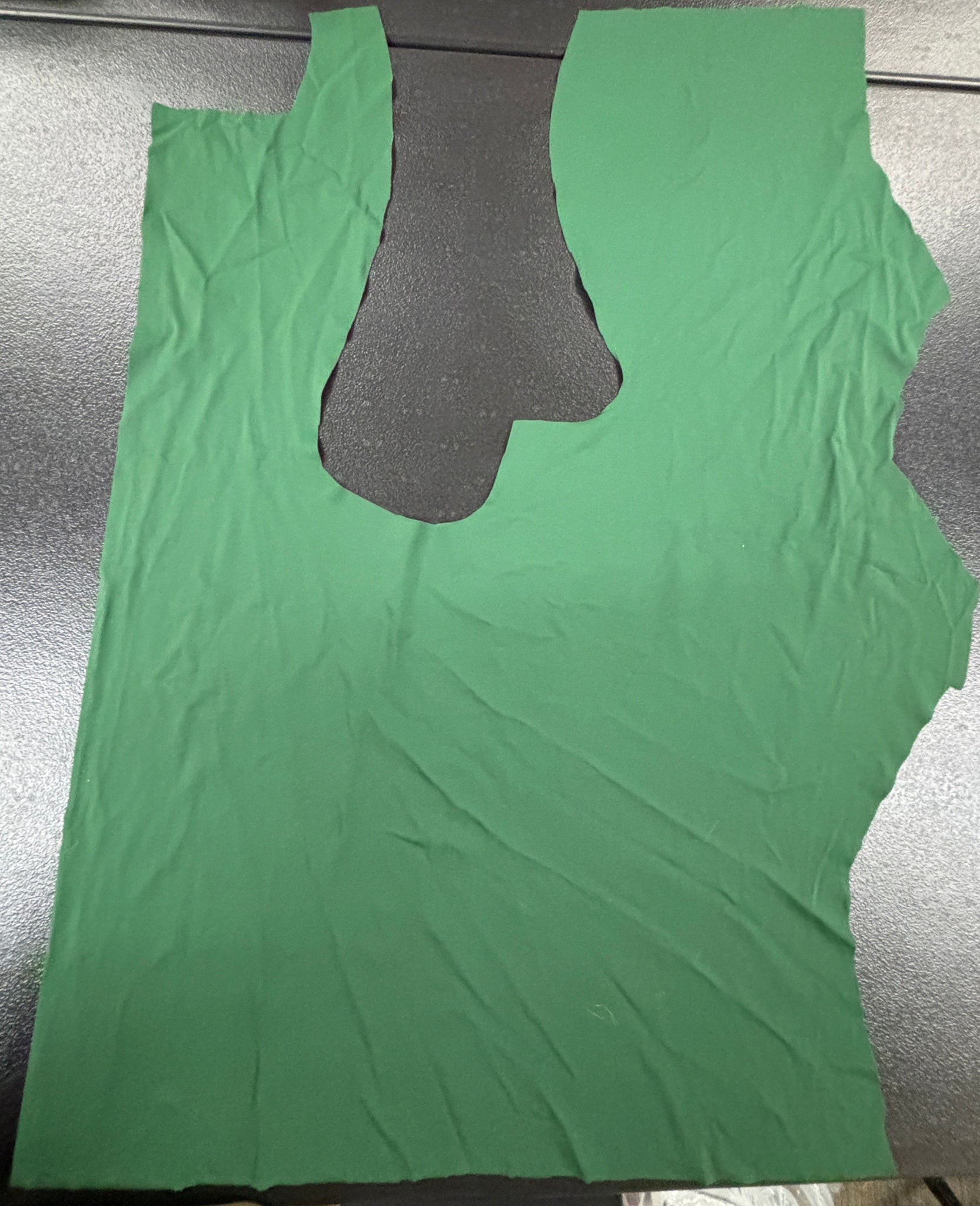 Fabric Remnant: #137 Dark Green Spandex