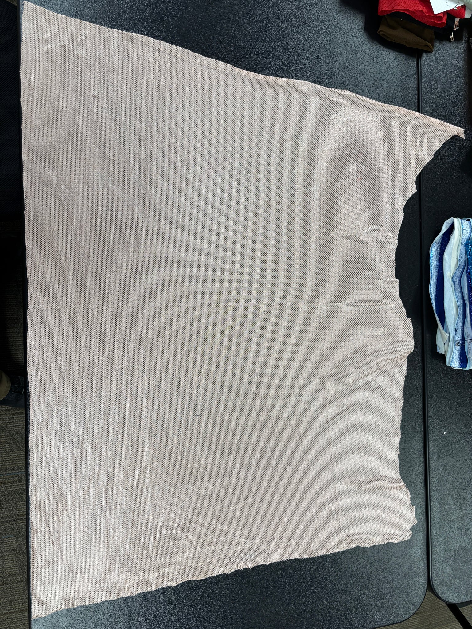 Fabric Remnant: #183 Light Nude Mesh